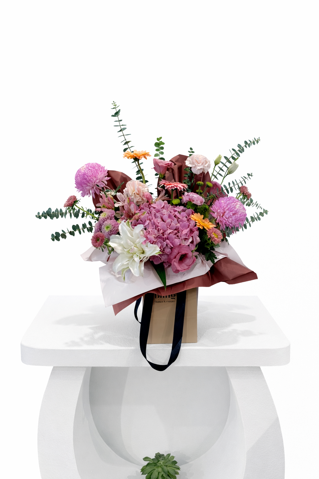 ورود متنوعة راقية